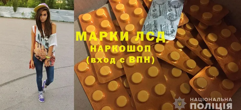 где продают наркотики  Заволжье  ЛСД экстази ecstasy 